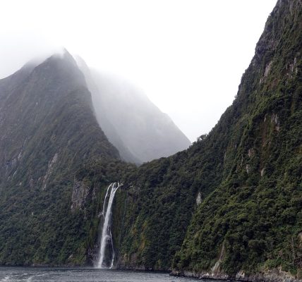 Nature, fog, landscape — Get Started with a Secure MetaTrader 4 Download