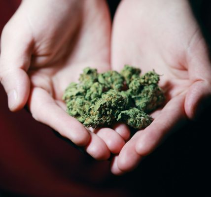 IM Cannabis acquisition news