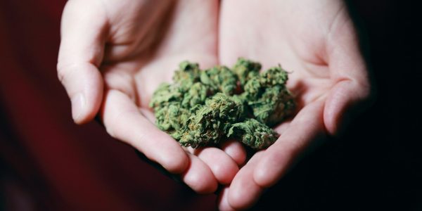 IM Cannabis acquisition news