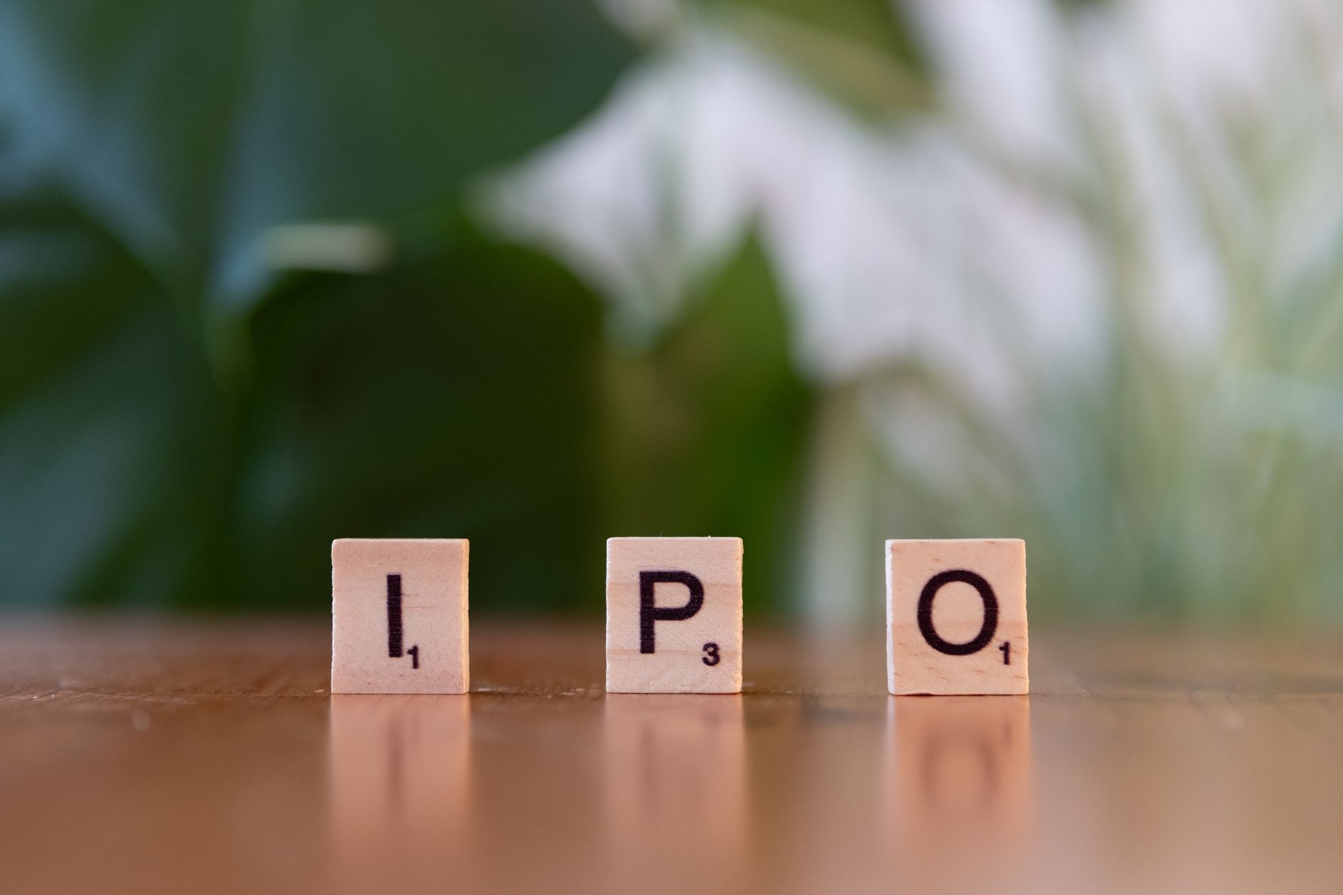 NSE IPO Subscription Status