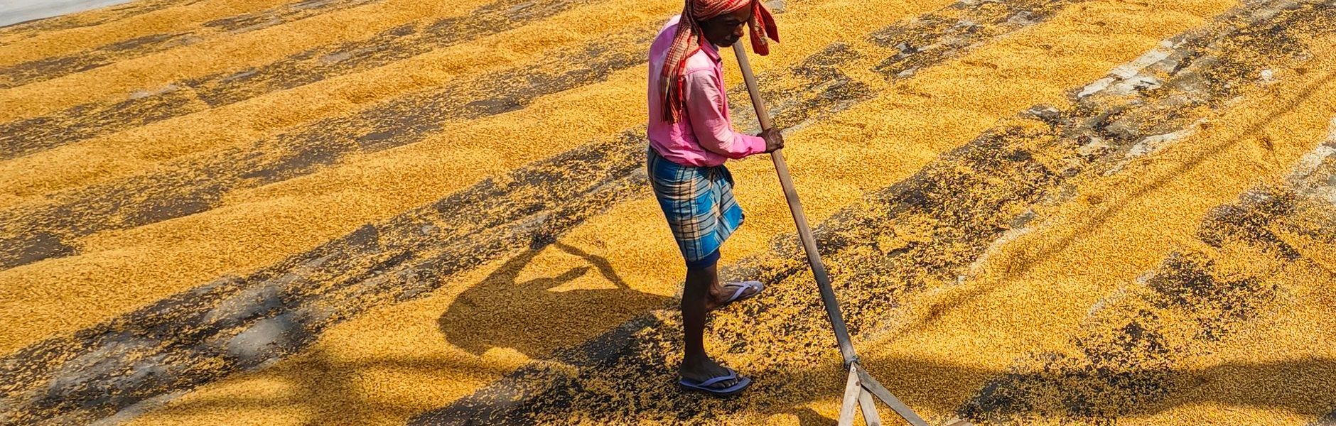 India inflation September 2023
