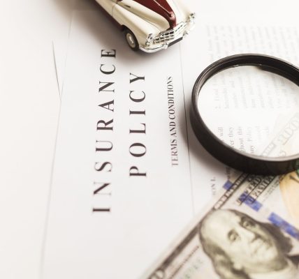 non-life insurance premiums