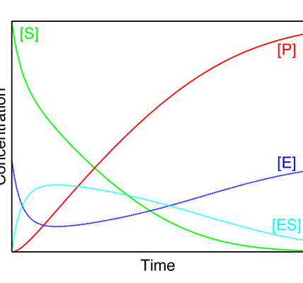 S&P 500 concentration