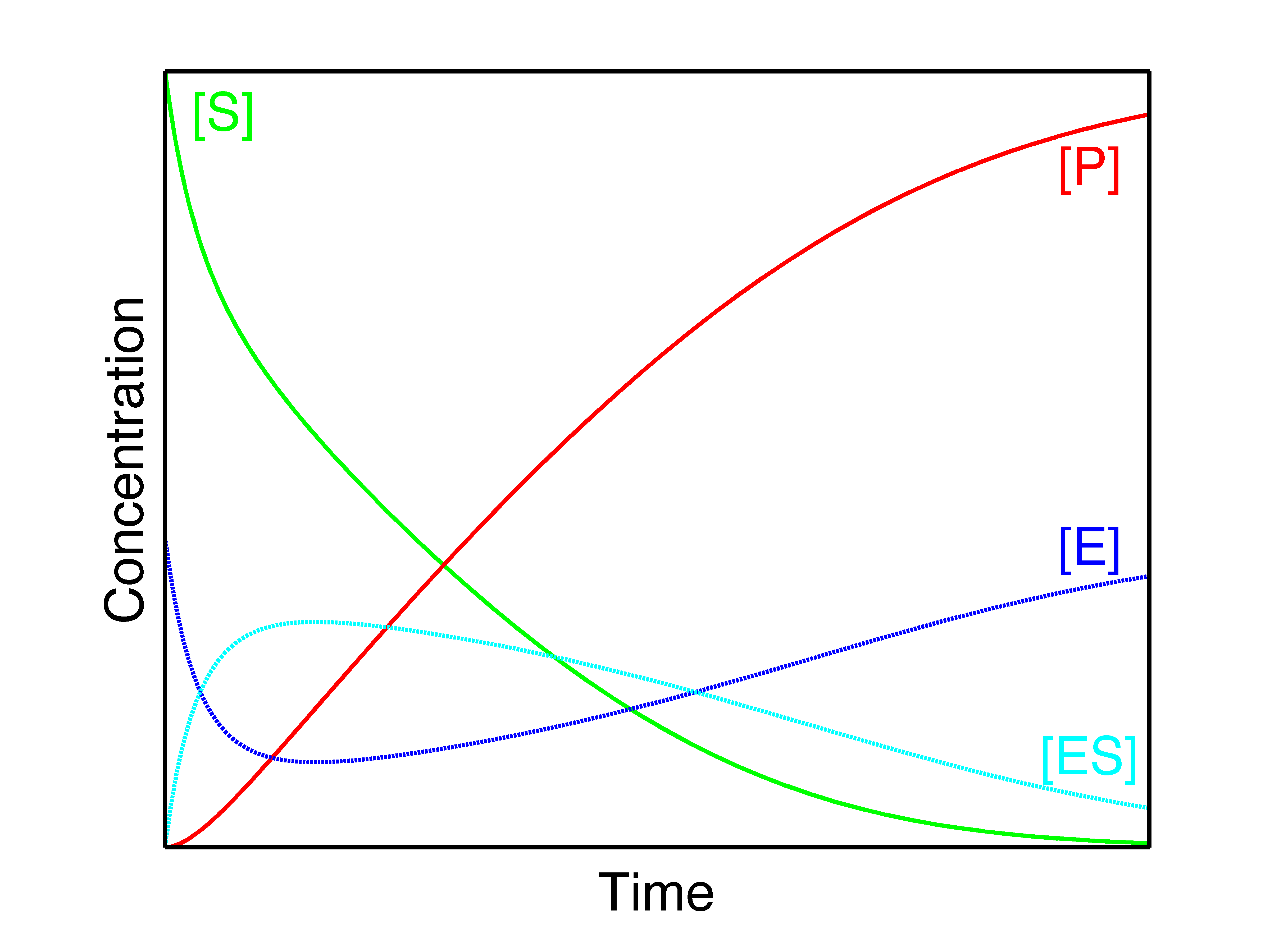 S&P 500 concentration