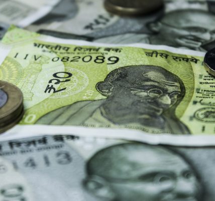 Tonbo Imaging India IPO